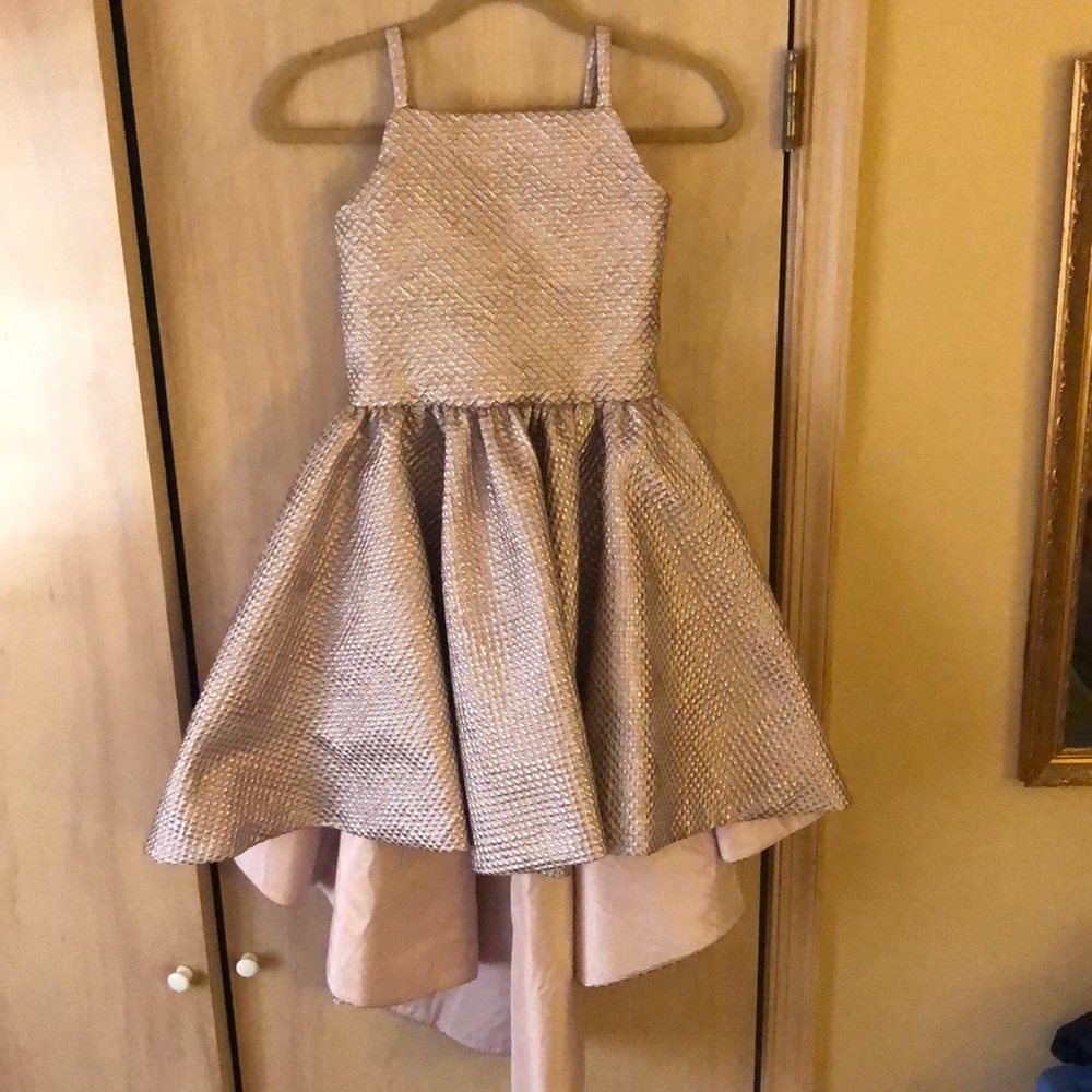 Gorgeous custom high low dress. Blush pink a little iridescent.